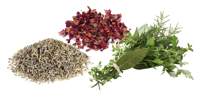 Herbs & Roots