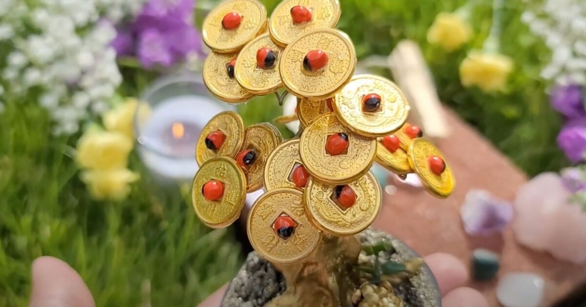 How To Perform a Money Tree Ritual