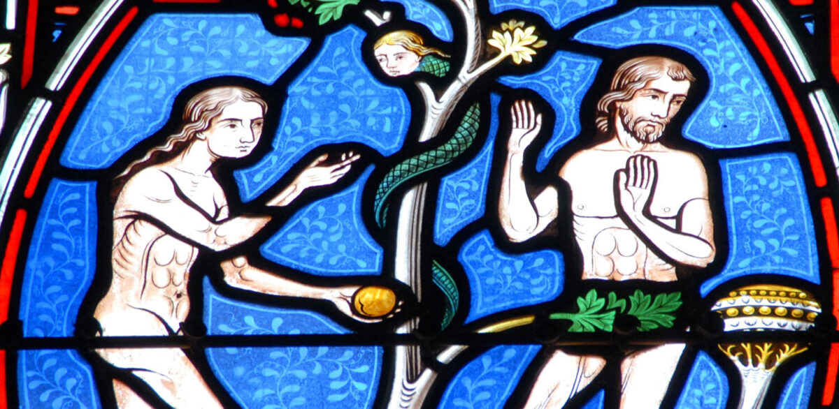 Adam eve roots ritual uses