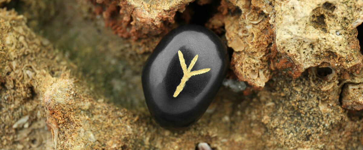 Algiz rune protection