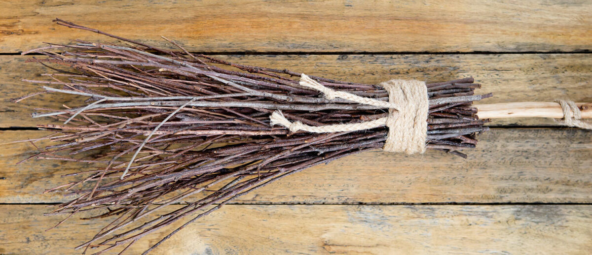 Cinnamon broom witch magic