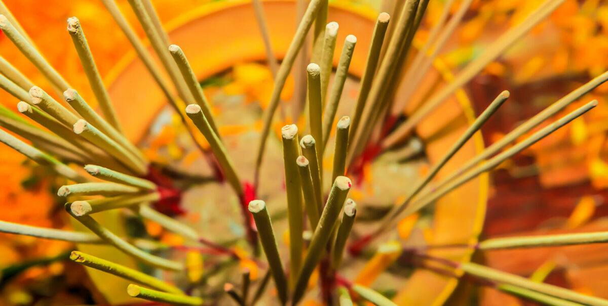 Jasmine incense benefits