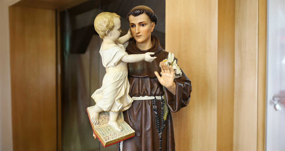 Saint anthony lillies