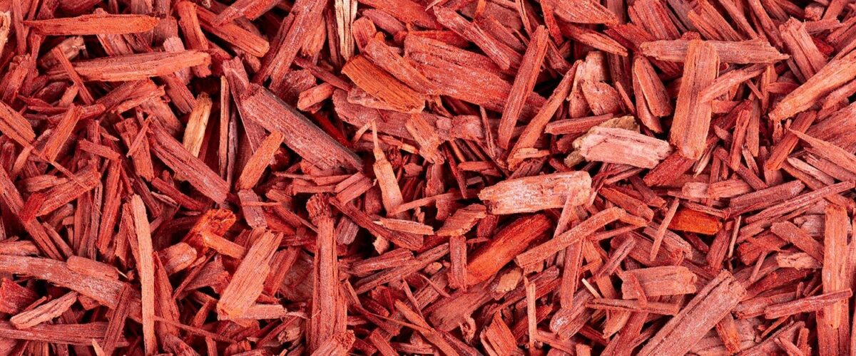 Sandalwood chips ritual