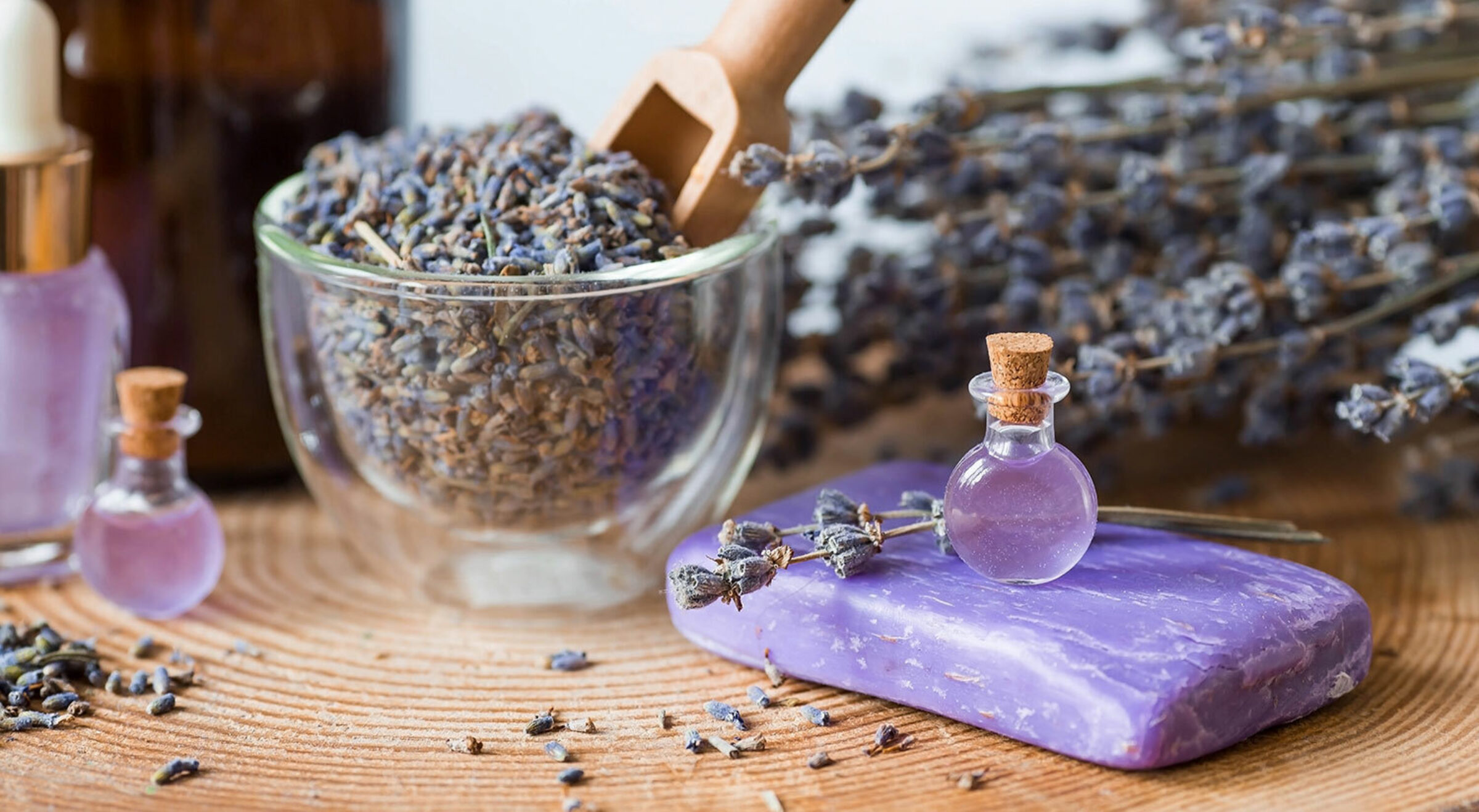Lavender Ritual The Spiritual Benefits and Meaning of Lavender