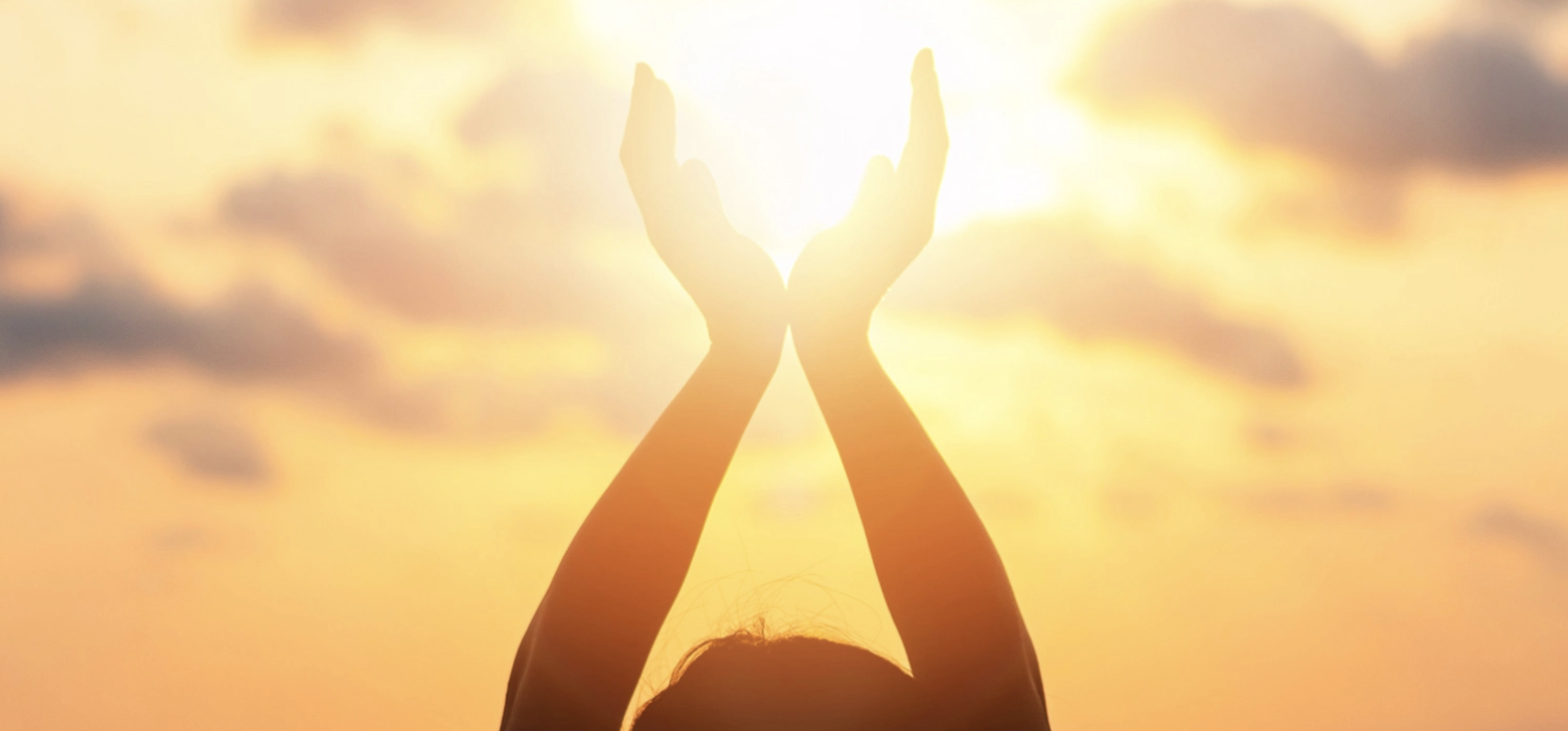 Screen Shot 2022 06 03 at 8 53 12 AM