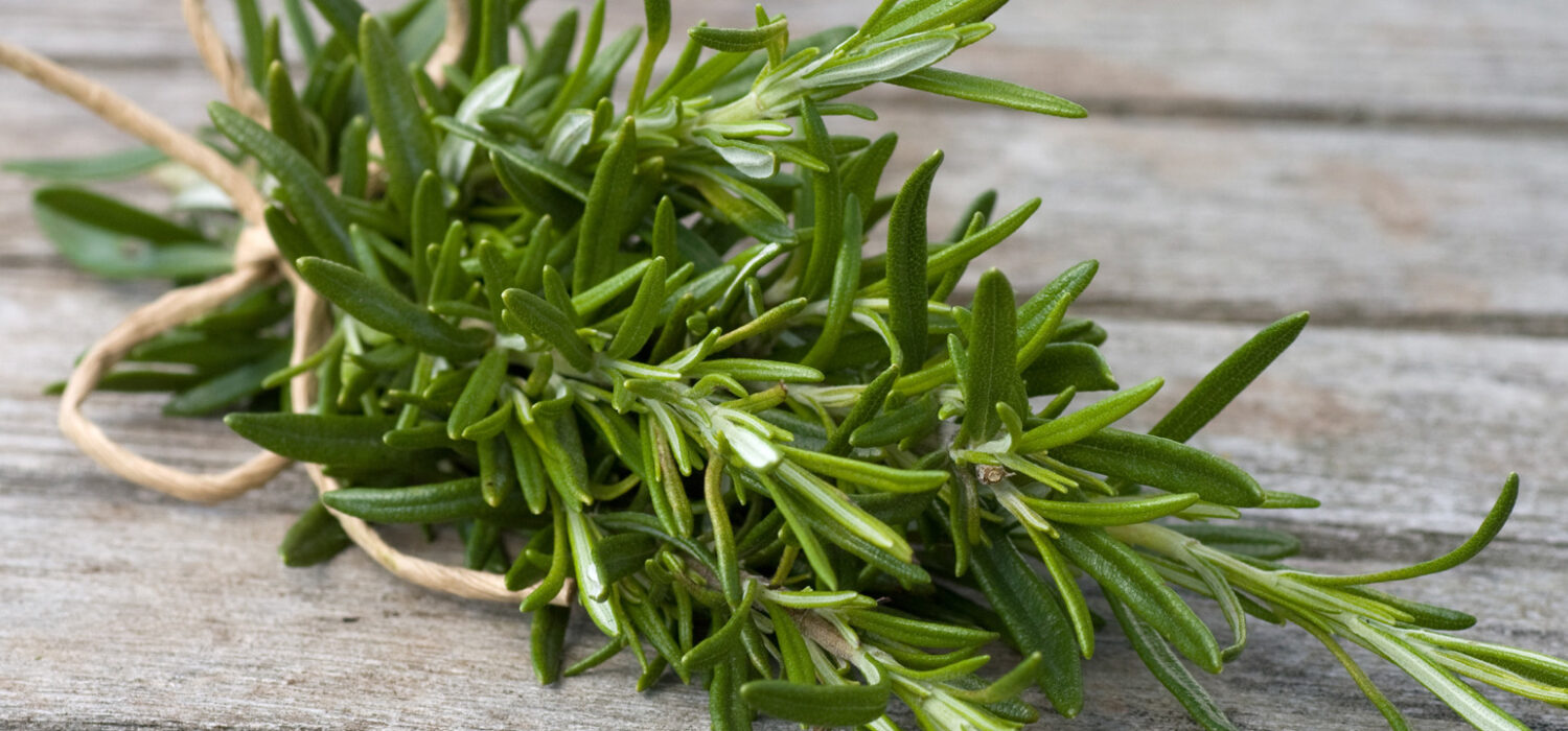 Basil rosemary herbs spells rituals 1