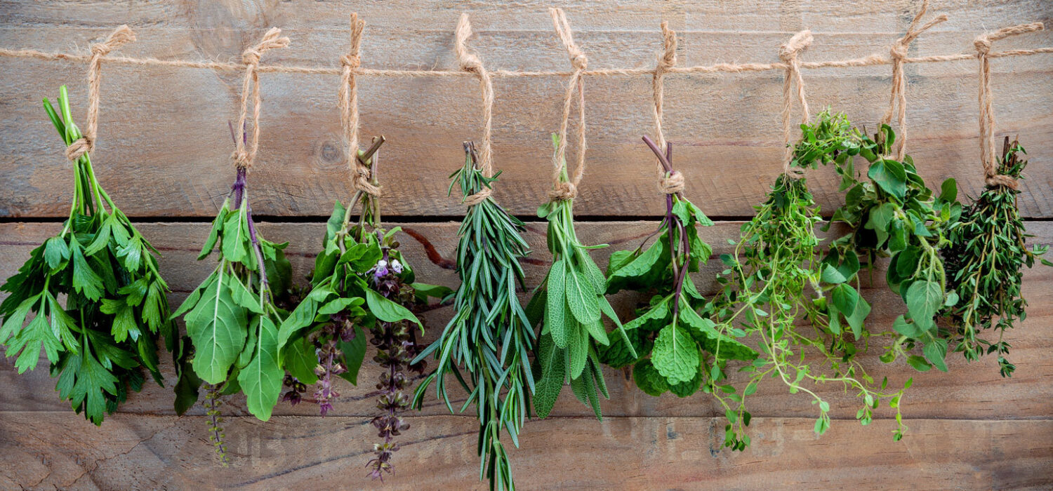 Best herbs protection spells rituals
