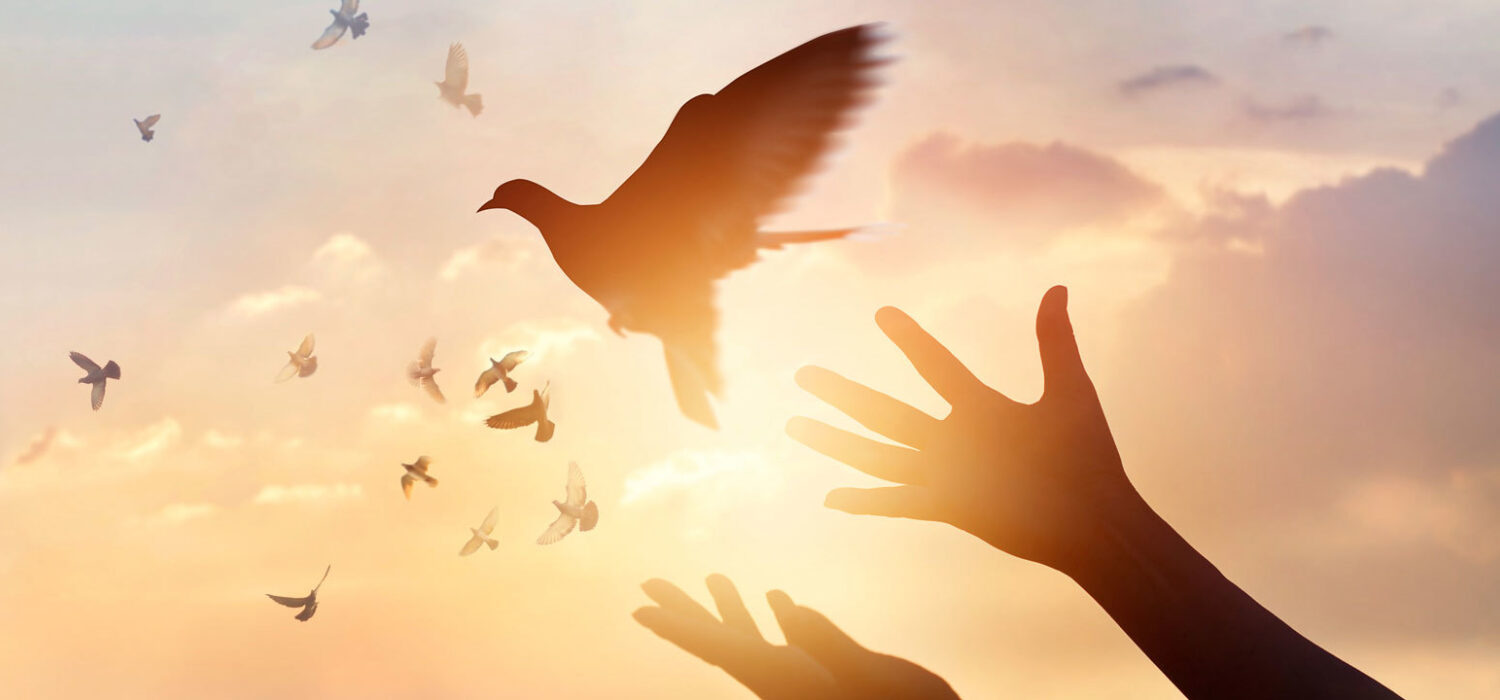 Forgiveness spells rituals prayers