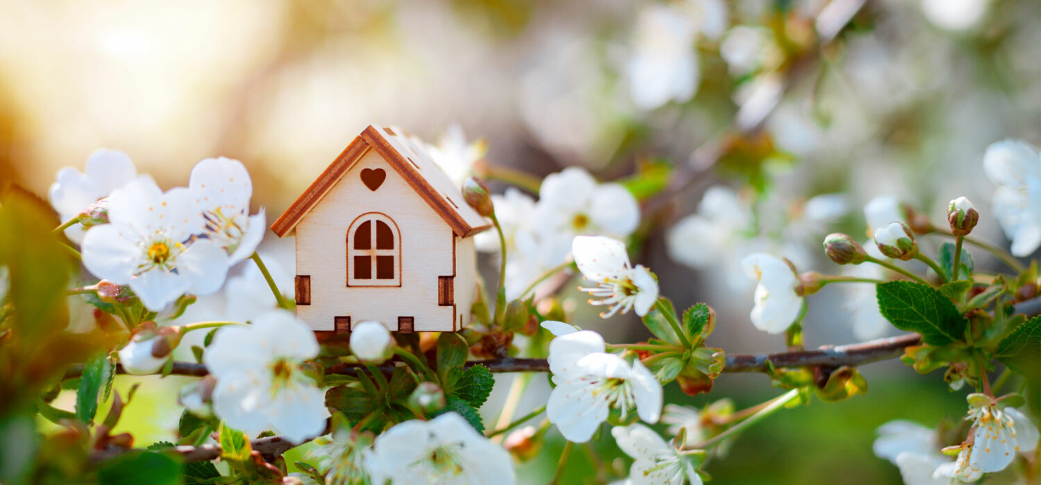 Home cleansing rituals spring renewal