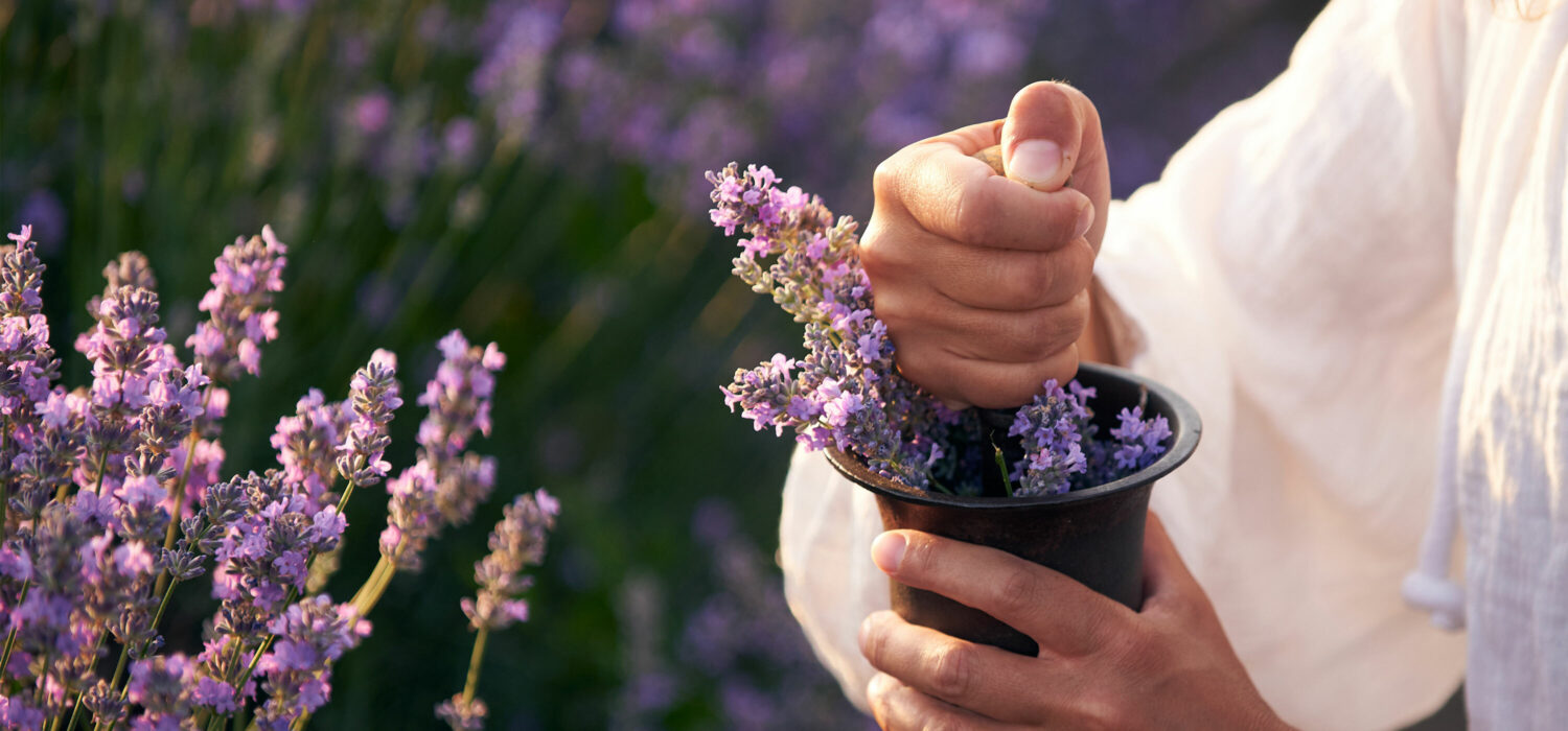 Lavender spiritual benefits