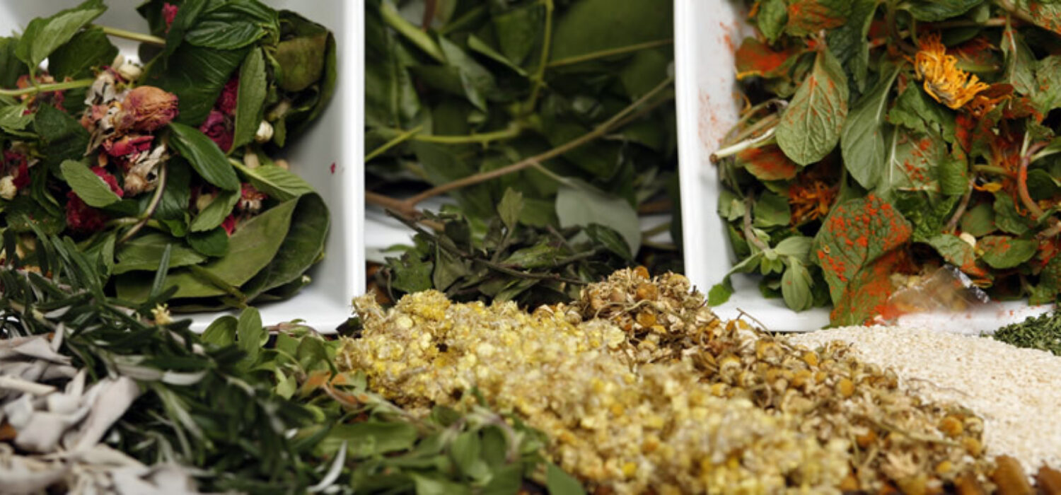 Magical herbs roots spellwork