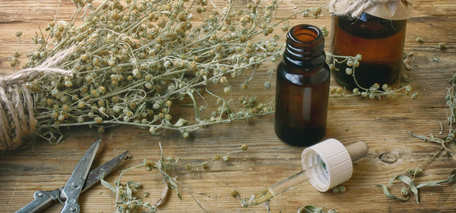 Mugwort wormwood magical uses rituals