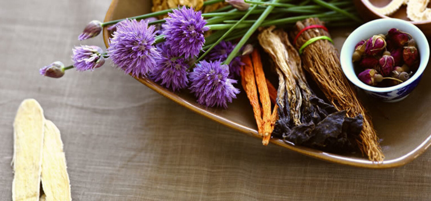Power magickal herbs roots
