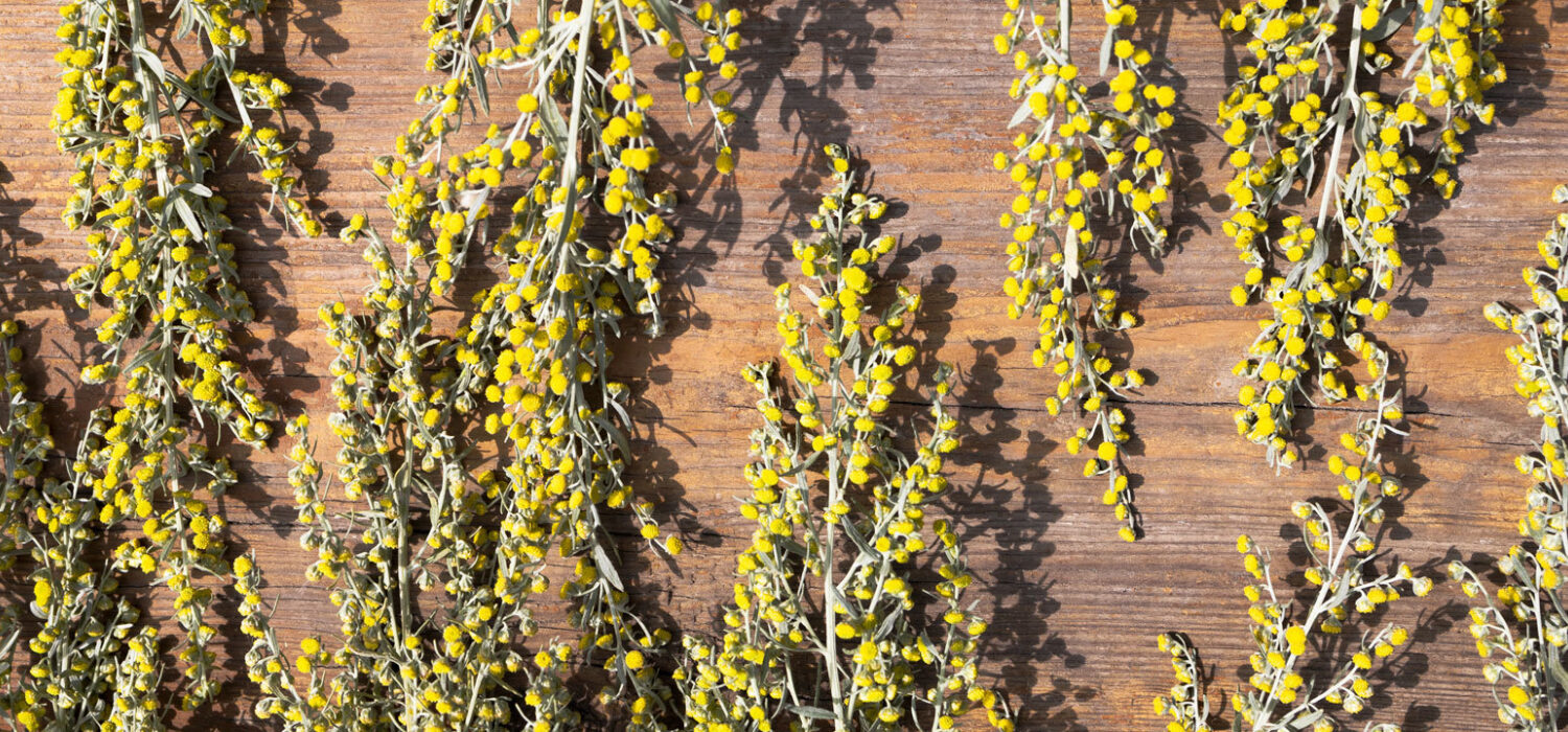 Roots herbs remove hex curse