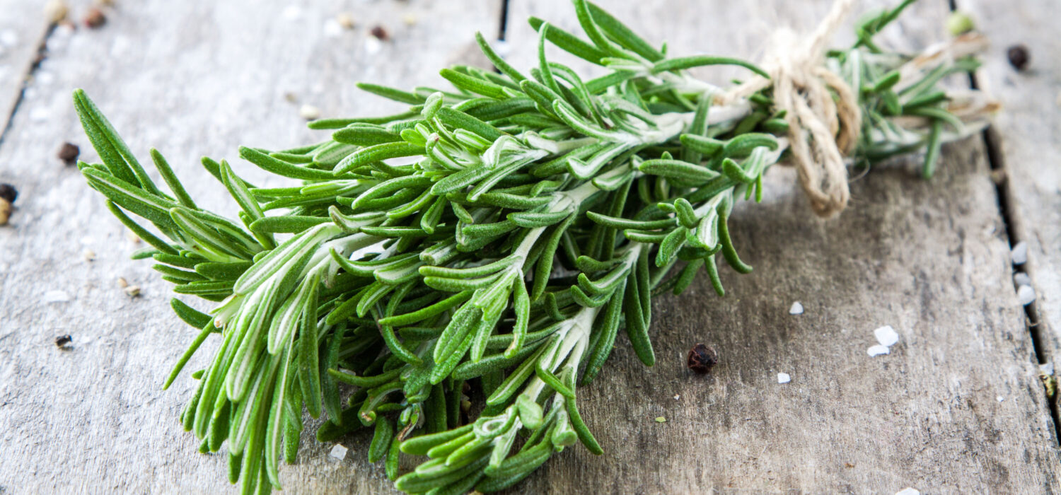 Rosemary spirtual meaning properties