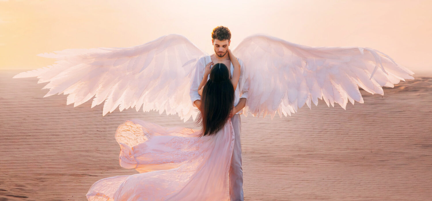 Spirit guide types angels animals