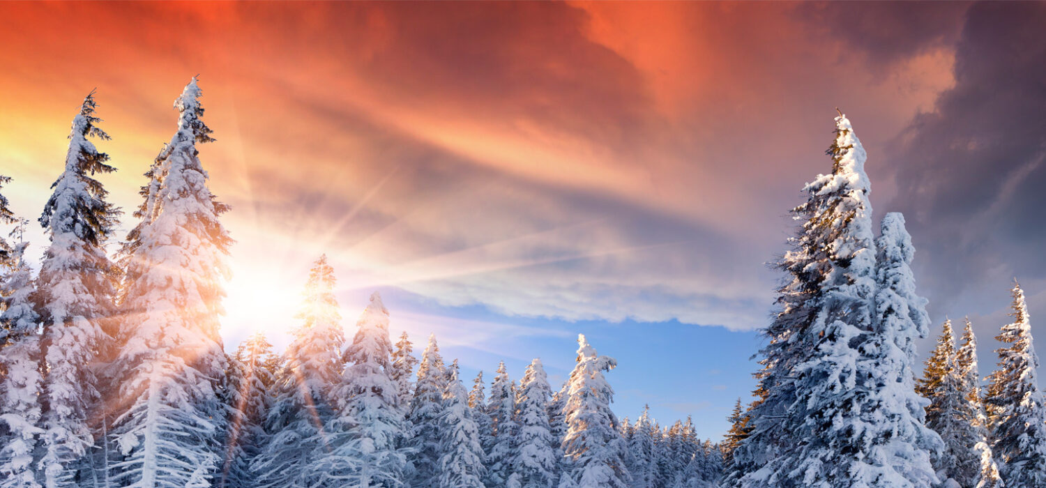 Winter solstice manifestation rituals prayers
