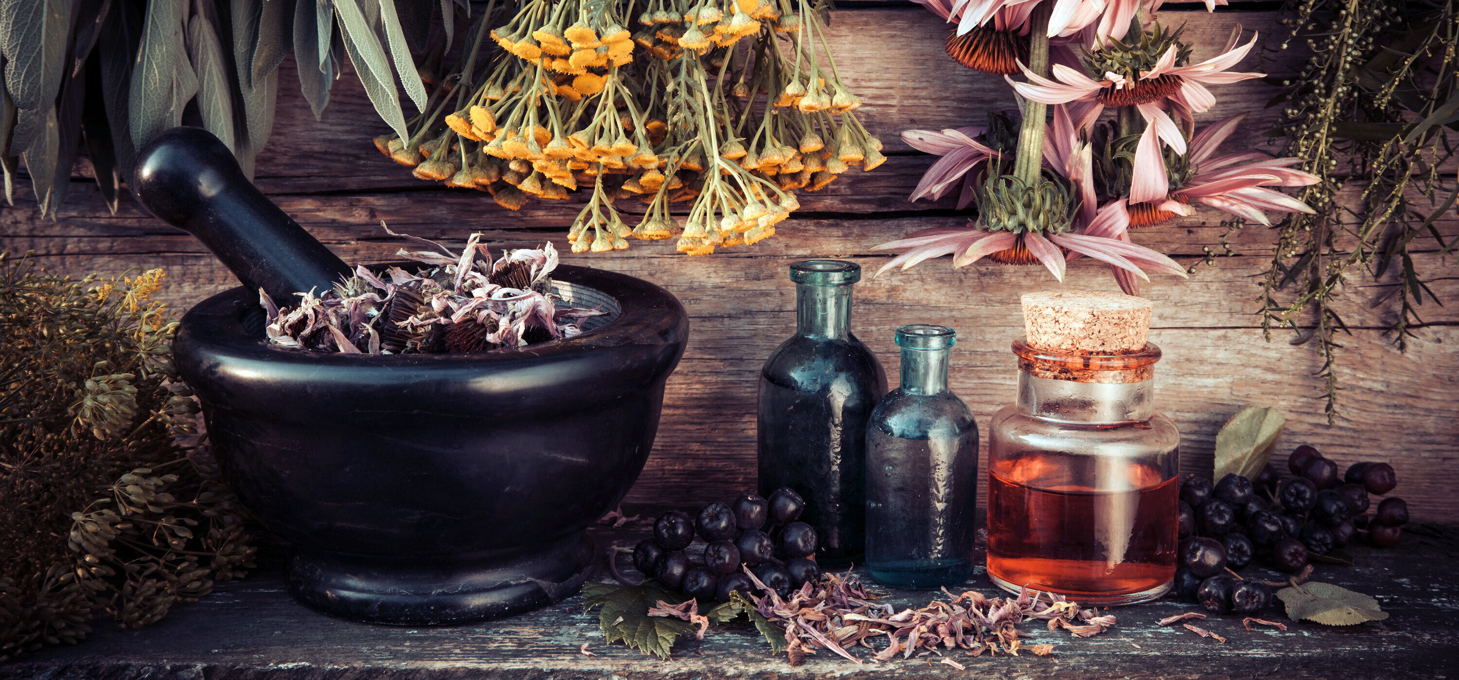 A Beginners Guide To Hoodoo Rootwork