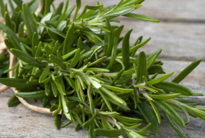 Basil rosemary herbs spells rituals 1