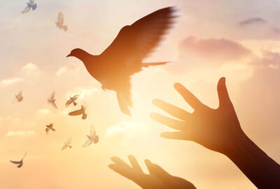 Forgiveness spells rituals prayers
