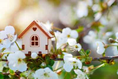Home cleansing rituals spring renewal