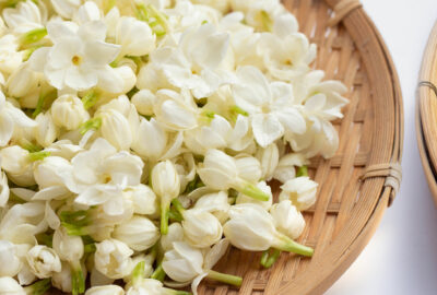Jasmine spiritual benefits meaning