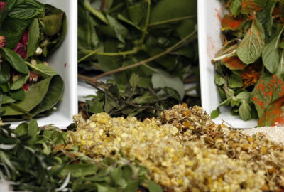 Magical herbs roots spellwork