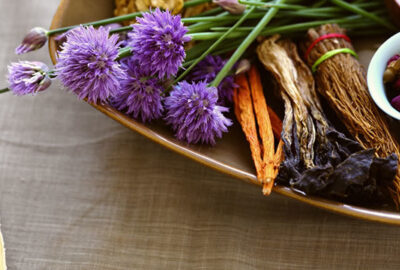 Power magickal herbs roots