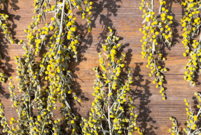 Roots herbs remove hex curse