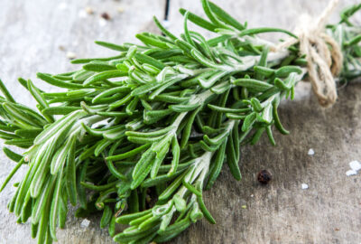 Rosemary spirtual meaning properties