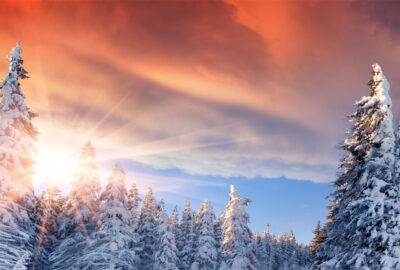 Winter solstice manifestation rituals prayers