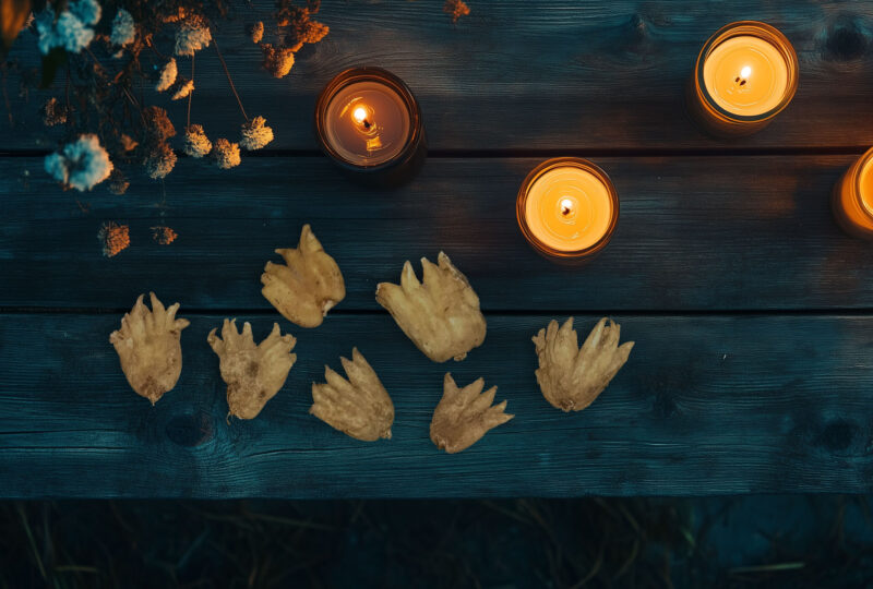 Voodoo & Hoodoo By Jim Haskins