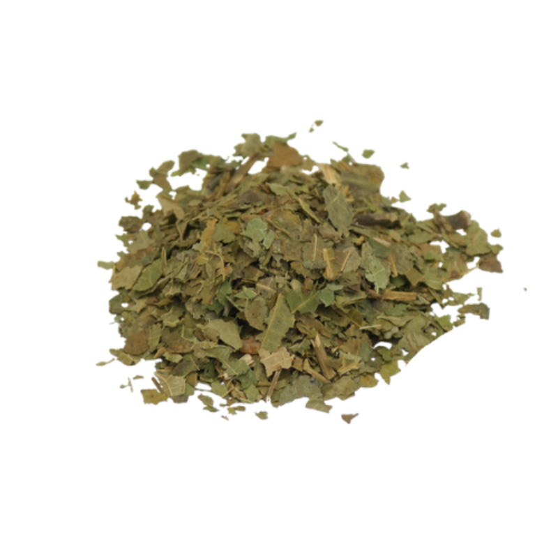Black Walnut Leaves