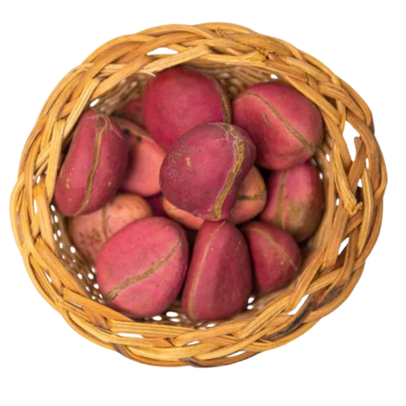 Kola Nut