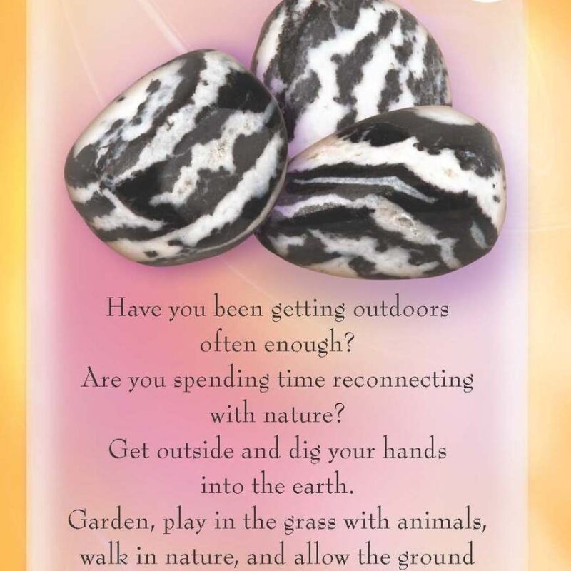 Masters Mystic Saints JPG Page 89 Zebra Jasper 25231