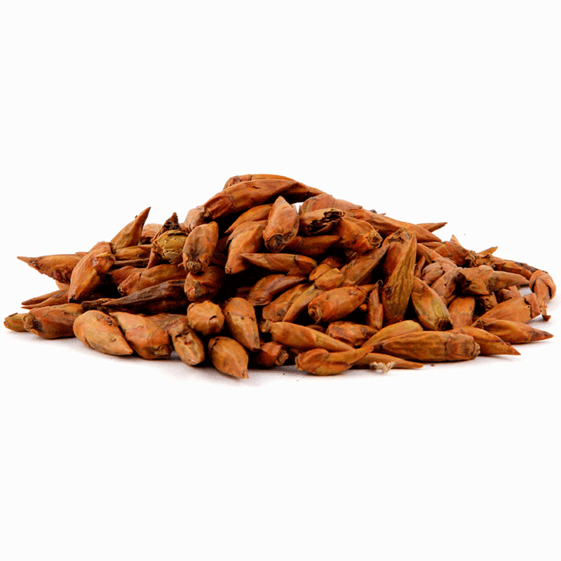 Balm of gilead buds 81264