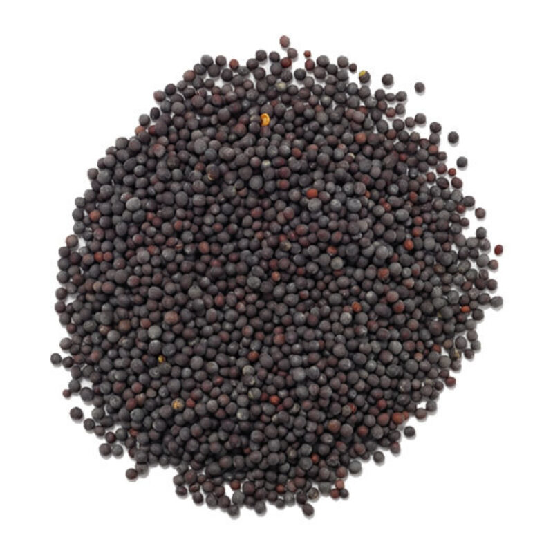 Black mustard seeds magical herb 98996