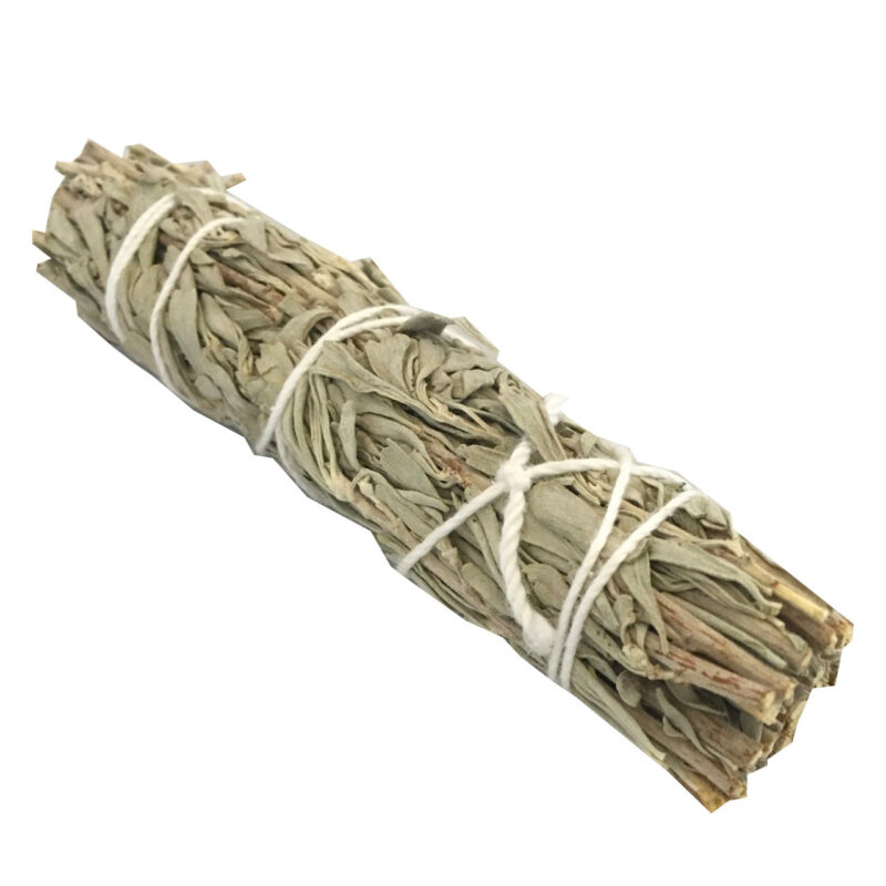 thumbnail image 2 of USDA Organic Blue Sage Smudge Sticks Bulk Lot (4 Sticks) For Energy Cleansing – Fresh Harvest, California 2 of 4