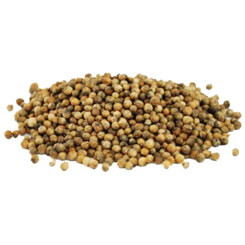 Coriander magical herb 56869