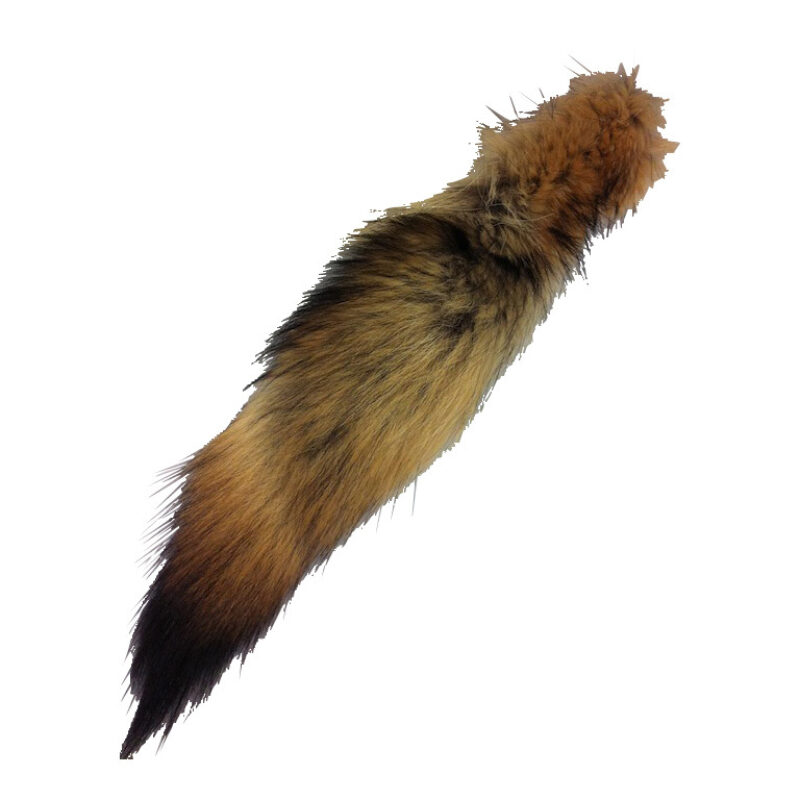 Coyote tailsss ifa 06886