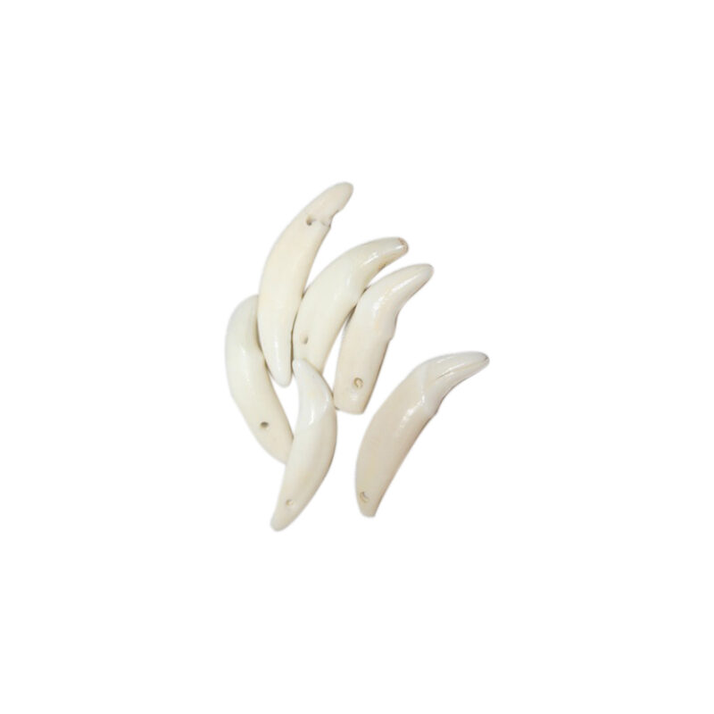 Coyote teeth santeria 40900