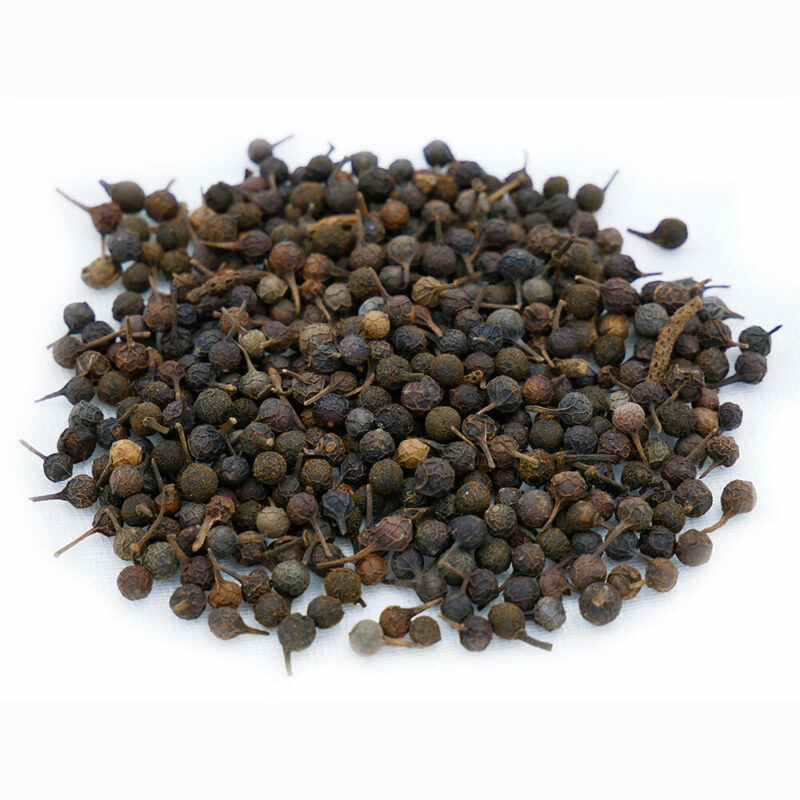 Cubeb berry