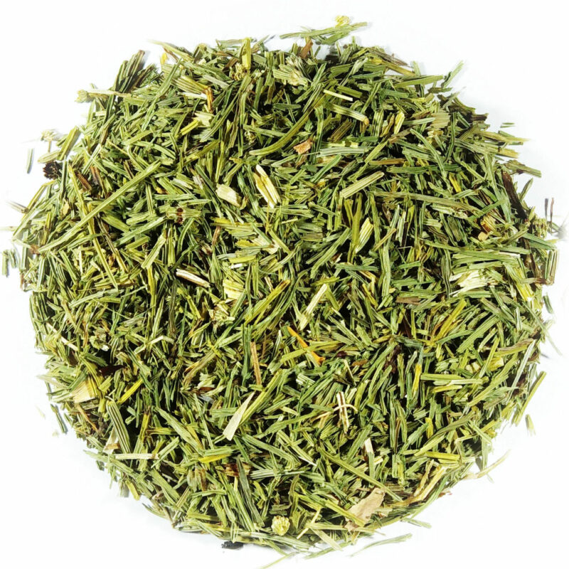 Horsetial herb