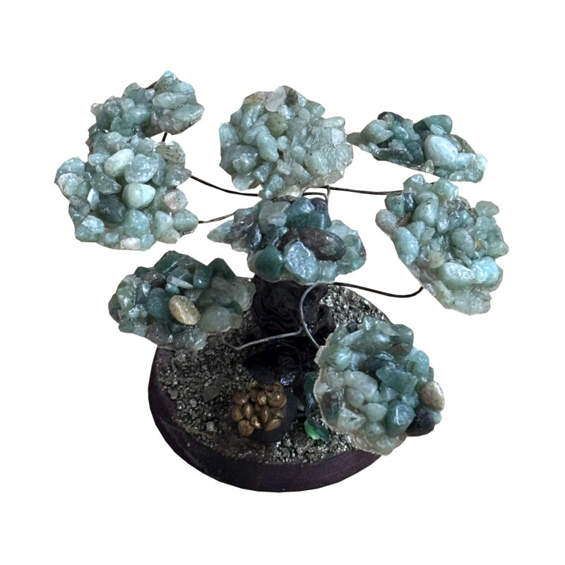 Jade money tree