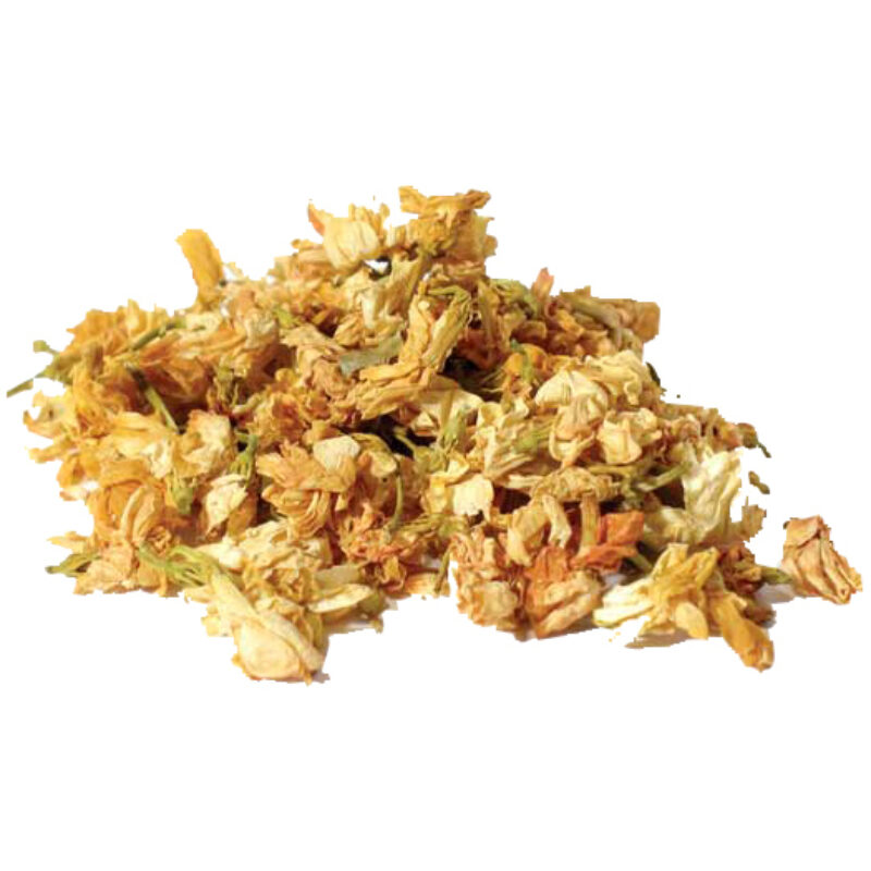 Jasmine flowers magical herb 02641