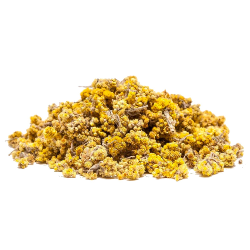 Life everlasting flowers 90481