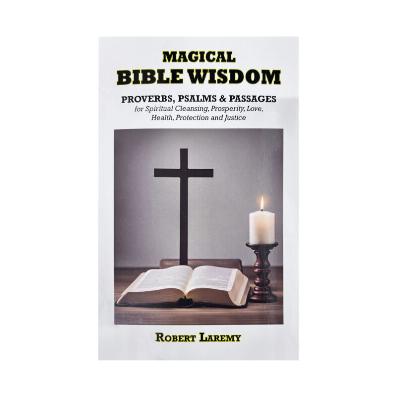 Magical bible wisdom laremy cover
