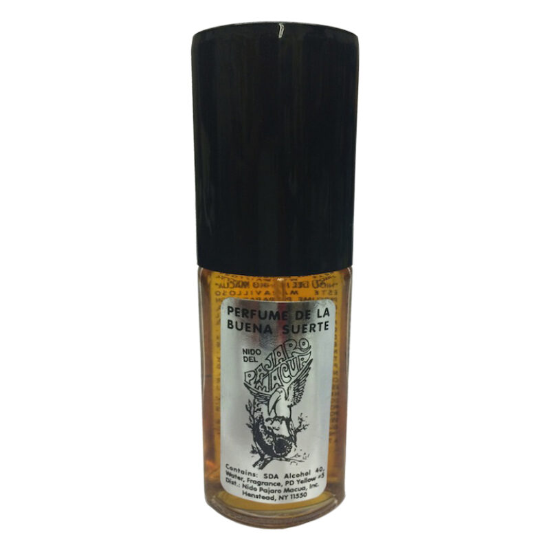 Pajaro macua spec cologne 41752
