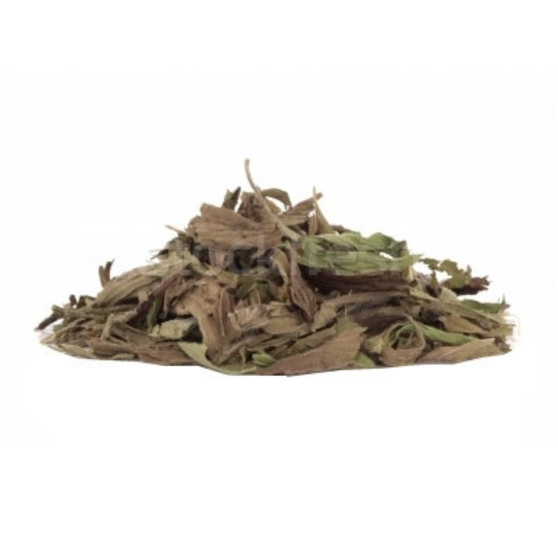 Plantain leaves magical herb 15326